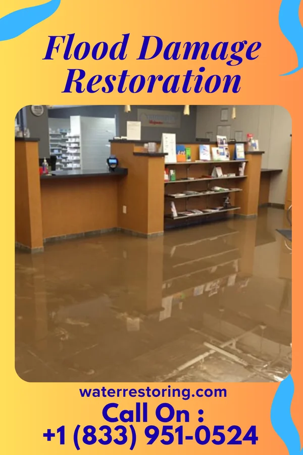 Flood Damage Restoration in Roman Forest, TX