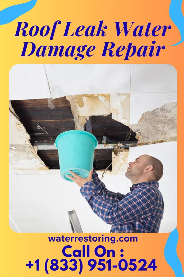 Roof Leak Water Damage Repair in Roman Forest, TX